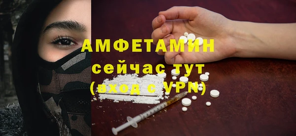 ECSTASY Тайга