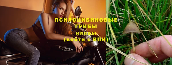 спайс Киренск