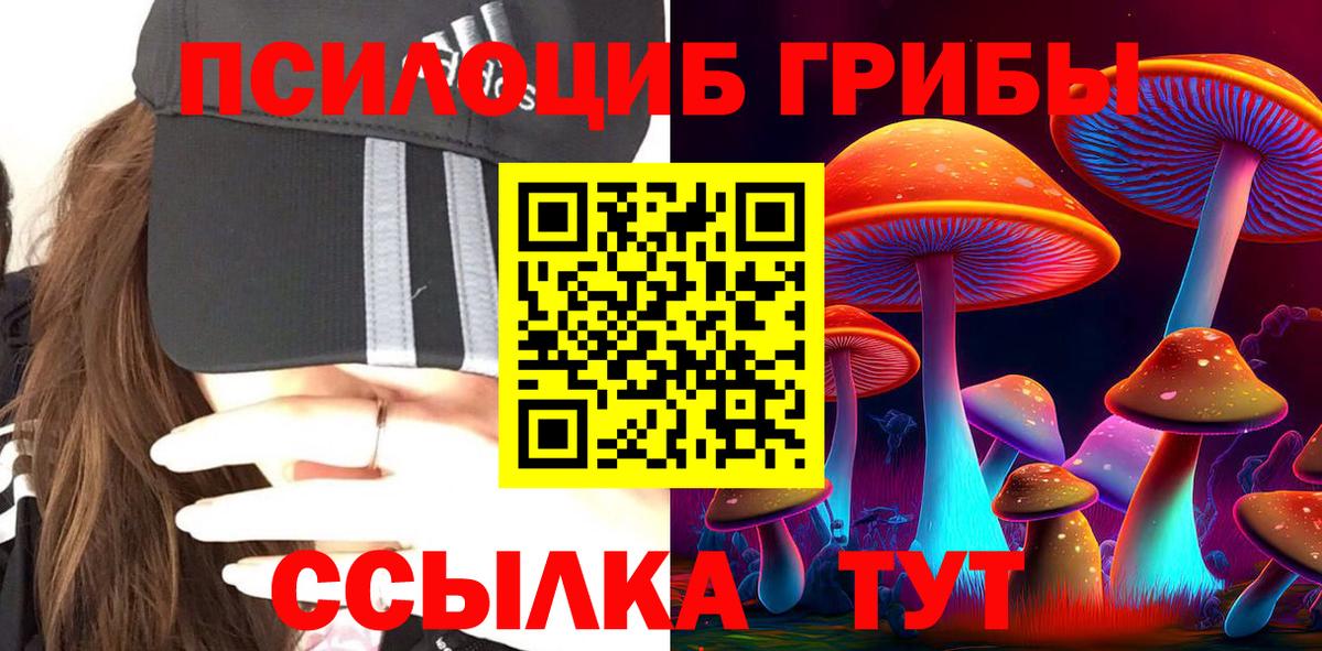 Галлюциногенные грибы ЛСД  Галлюциногенные грибы Cubensis  Вход с VPN  купить закладку  Куйбышев 