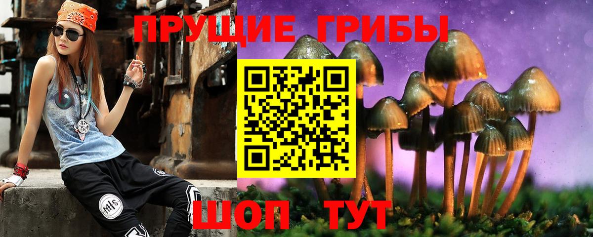 Галлюциногенные грибы ЛСД Куйбышев