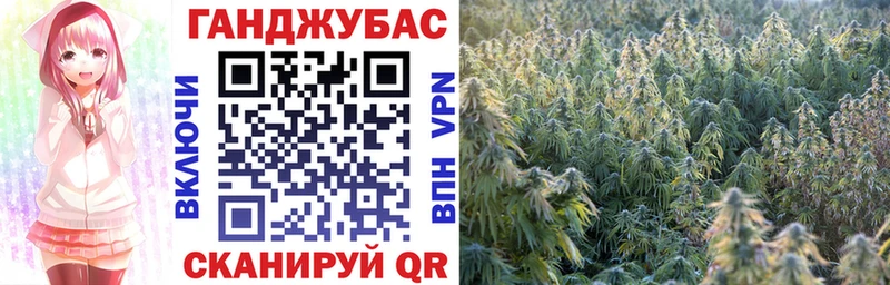 Каннабис MAZAR Куйбышев